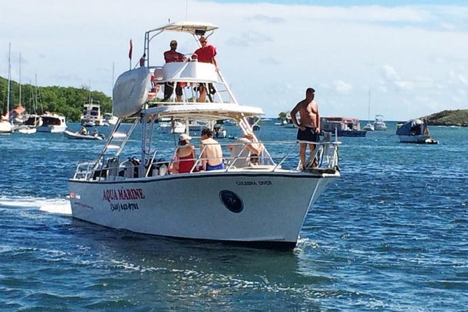Snorkeling Adventure in St Thomas - Turtle watching without a guarantee