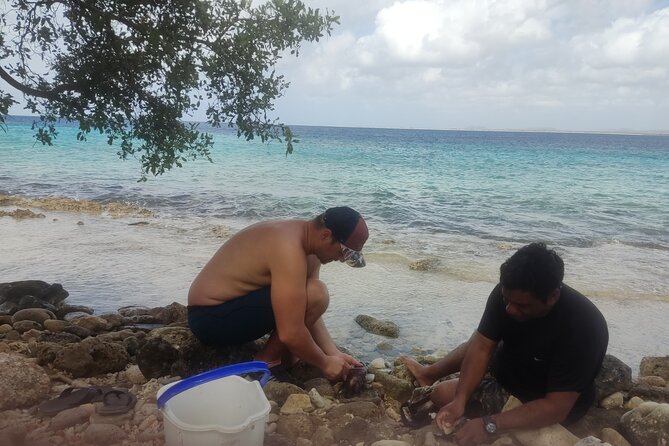 Snorkeling and Grilling Fresh Fish at Donkey Beach - Why the small group improves the experience