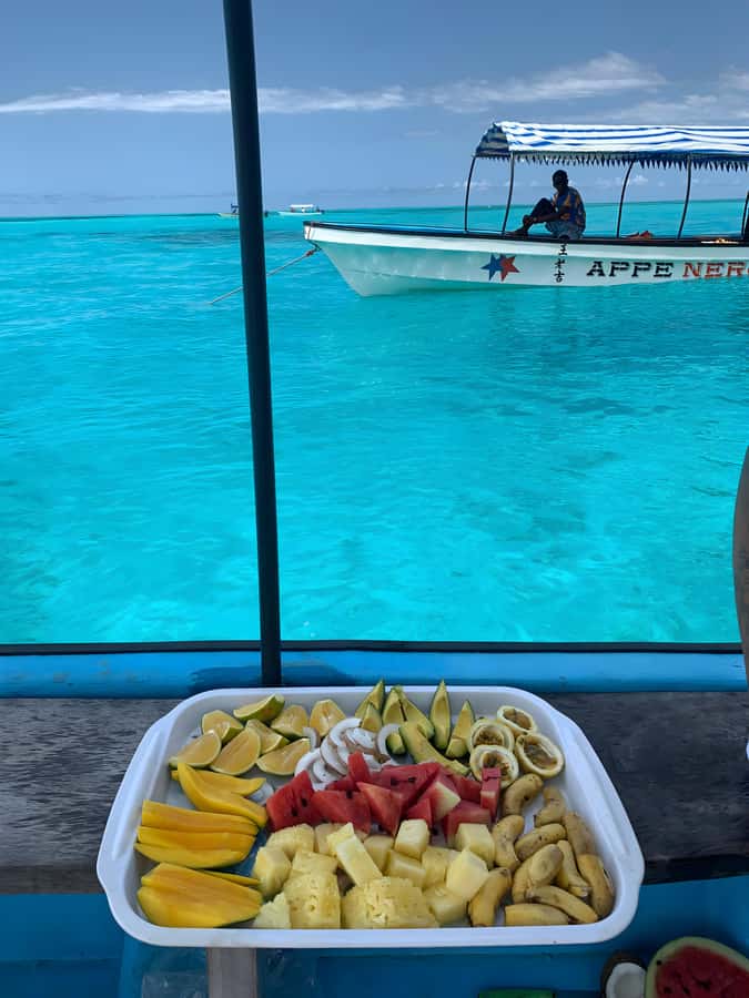 Snorkeling and swimming with dolphins in mnemba island - Practical preparation for a smoother morning
