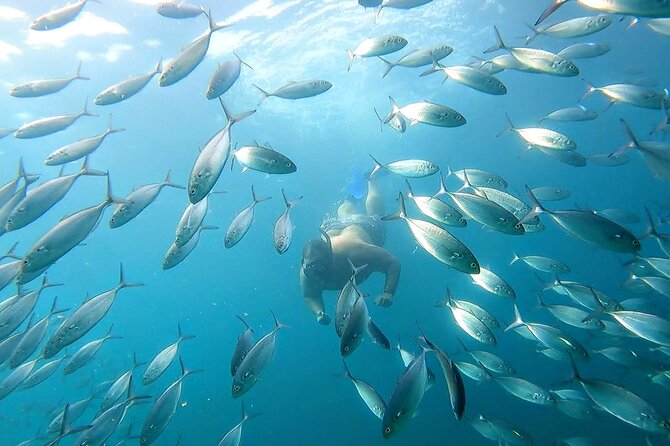 Snorkeling and whale watching Tour in Cabo - Neptune’s Finger is the main snorkeling stop