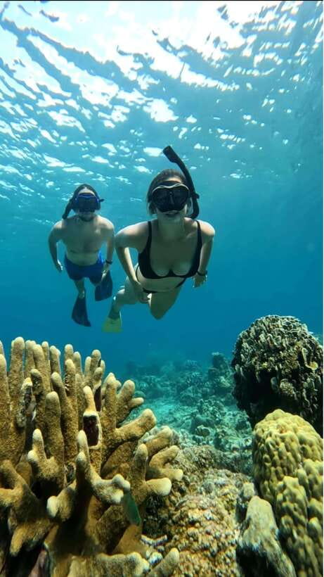 Snorkeling around 3 island & turtle sanctuary - Key points to know before booking