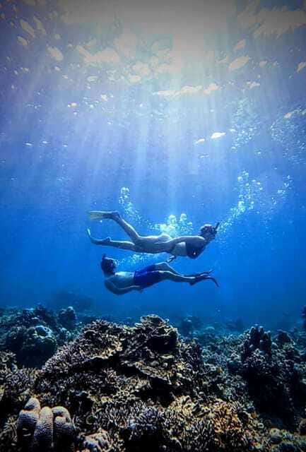 Snorkeling around 3 island & turtle sanctuary - Gili Air, fish gardens, and the lunch break