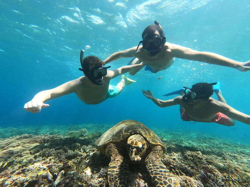 Snorkeling around 3 island & turtle sanctuary - Shared boat or private trip?