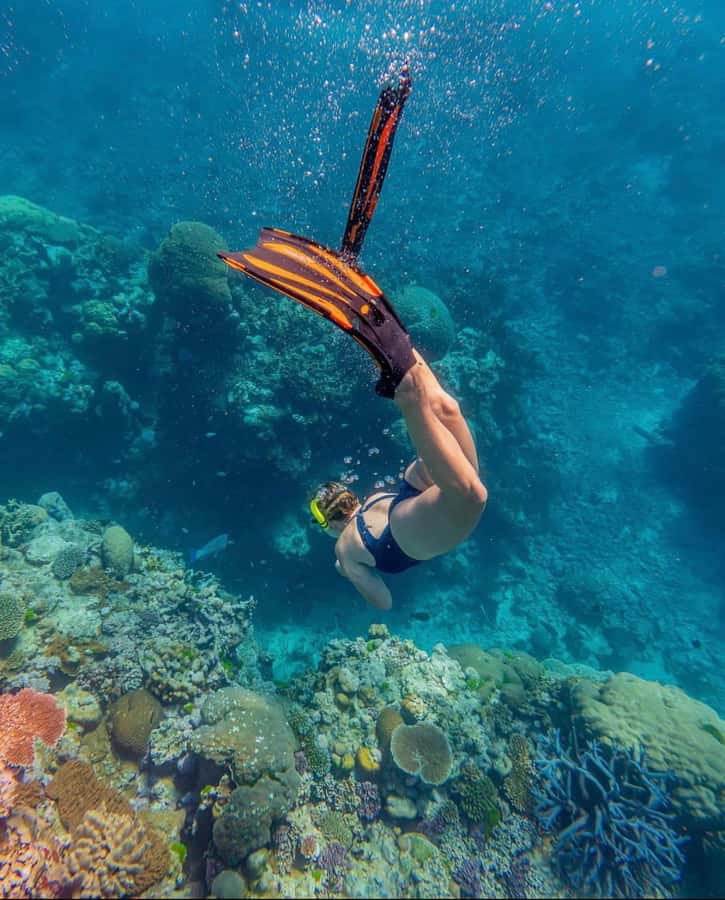 Snorkeling at Blue Lagoon, Tanjung Jepun and Waterfall - What the traditional boat adds