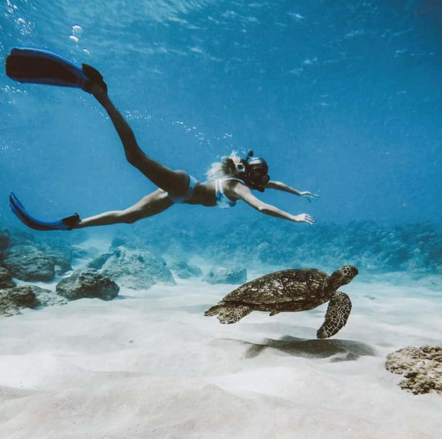 Snorkeling at Blue Lagoon, Tanjung Jepun and Waterfall - Who will enjoy this most