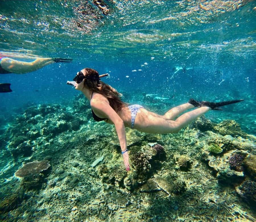 Snorkeling at Blue Lagoon, Tanjung Jepun and Waterfall - A strong mix, with a few tradeoffs