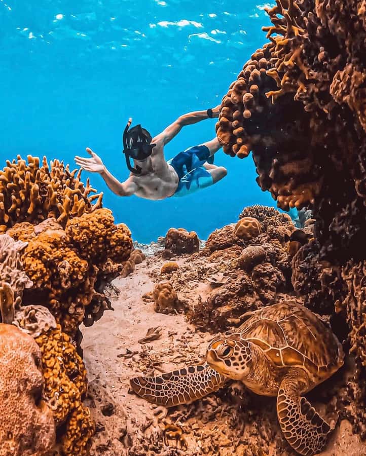 Snorkeling at Blue Lagoon, Tanjung Jepun and Waterfall - Should you book this east Bali day trip?