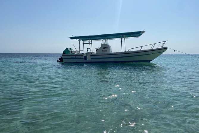 Snorkeling at Dimaniyat Islands and Dolphin Watching - The beach stop and time in the water