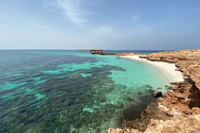 Snorkeling at Dimaniyat Islands and Dolphin Watching - Price, group size, and overall value