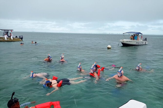Snorkeling at Hol Chan Marine Reserve and Shark Ray Alley - Is $80 a fair price?