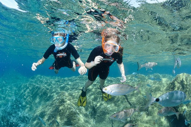 Snorkeling - By boat on site in the Bay of Cannes or Estérel - Leaving Port de la Rague at 1:30 pm