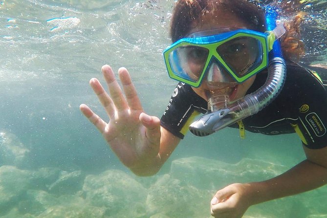 Snorkeling - By boat on site in the Bay of Cannes or Estérel - Swimming, jumping, or taking a break aboard