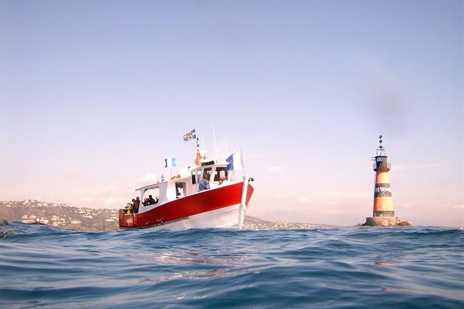 Snorkeling - By boat on site in the Bay of Cannes or Estérel - Weather, cancellations, and timing concerns
