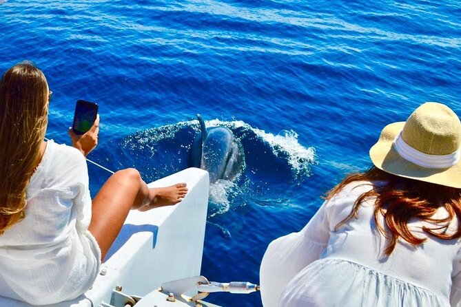 Snorkeling Catamaran Tour at Santa Maria Bay - Leaving the marina for Cabo’s famous sights