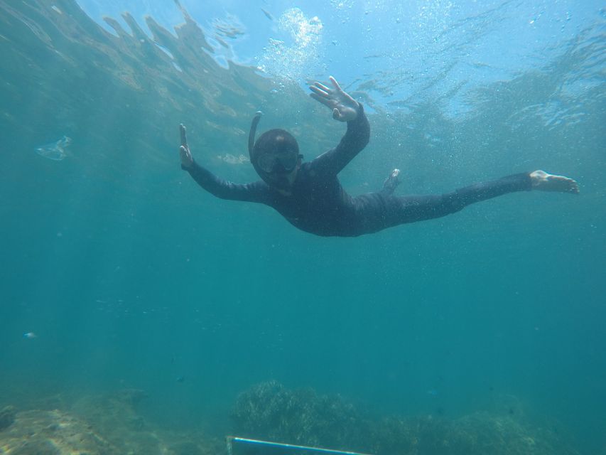 Snorkeling Cham Island: Snorkeling Tour by Speed Boat - Who will get the most from this Cham Island trip
