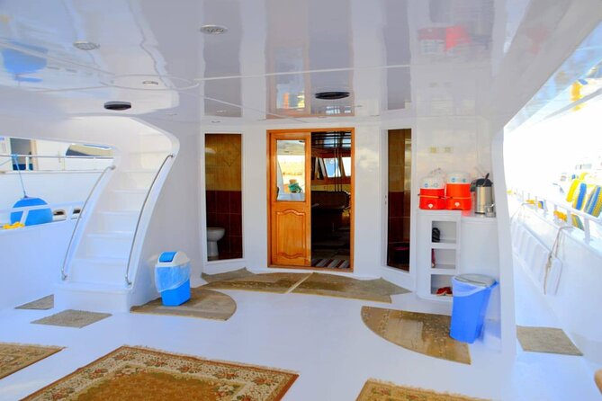 Snorkeling Day Trip To White Island And Ras Mohammed By VIP Boat - Key points at a glance