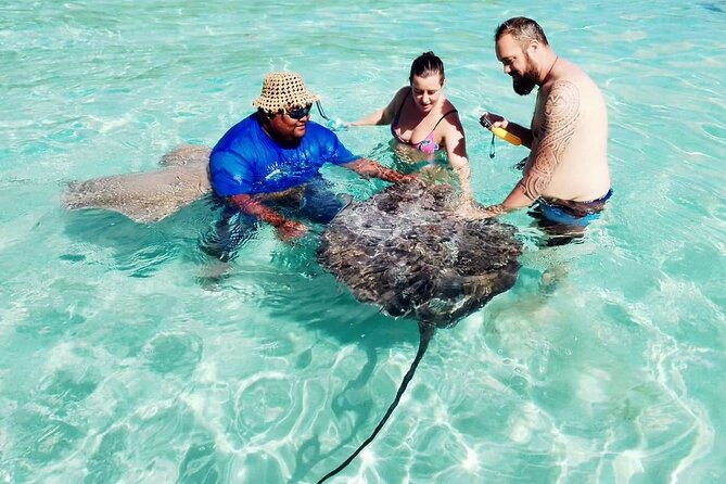 Snorkeling excursion and encounter with marine fauna in Moorea - Meeting the yellow boat at 9 a.m.