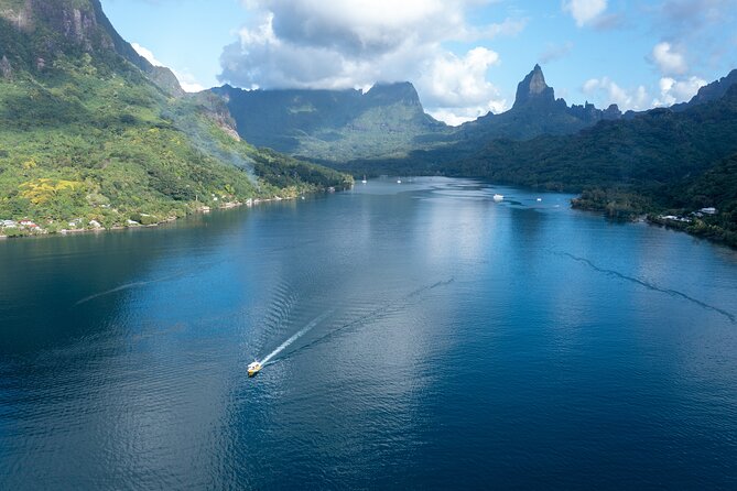 Snorkeling excursion and encounter with marine fauna in Moorea - Rays and reef sharks at close range