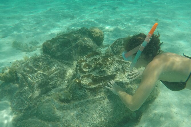 Snorkeling excursion and encounter with marine fauna in Moorea - What the $131.18 price gets you