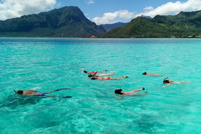Snorkeling excursion and encounter with marine fauna in Moorea - The crew makes the difference