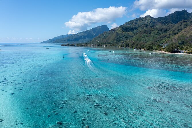Snorkeling excursion and encounter with marine fauna in Moorea - First snorkeling stops: fish, coral, and clear water