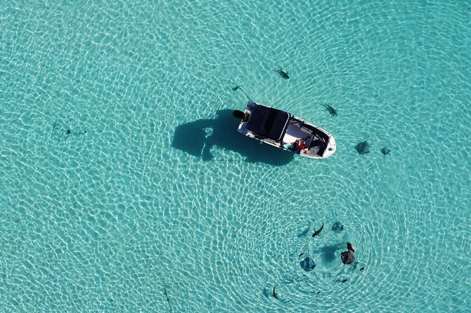 Snorkeling excursion, discovery of the lagoon, small group. - The sandbank with rays and blacktip reef sharks