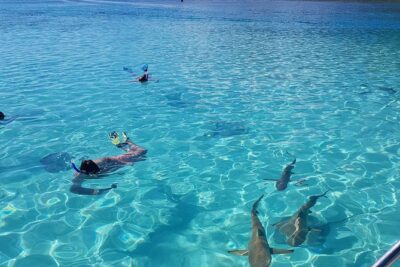 Snorkeling excursion, discovery of the lagoon, small group.