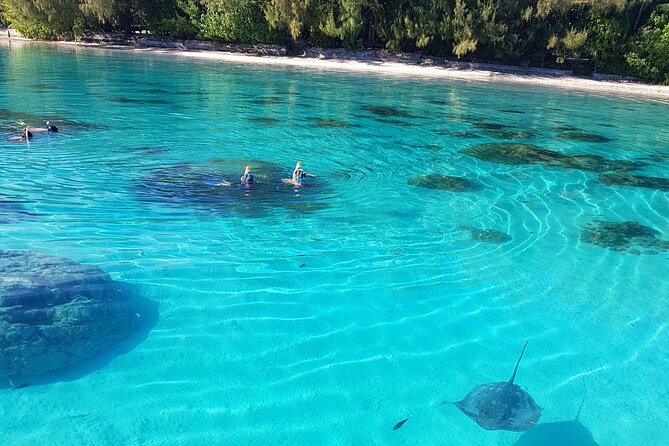 Snorkeling excursion, discovery of the lagoon, small group. - Two reef stops for coral and fish