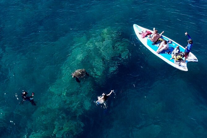 Snorkeling for Non-Swimmers with Photos Guided Tour Wailea Beach - Fish, coral, and sea turtles at Wailea