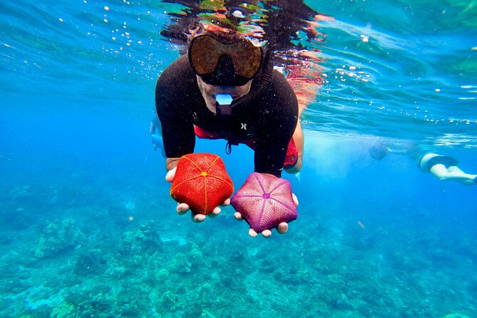 Snorkeling for Non-Swimmers with Photos Guided Tour Wailea Beach - The best match for this experience