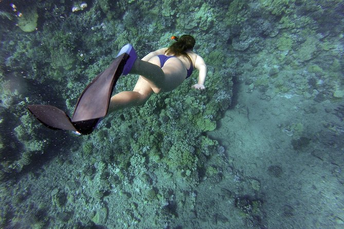 Snorkeling Fun Adventure in Athenian Riviera - Snorkeling in a quiet coastal cove