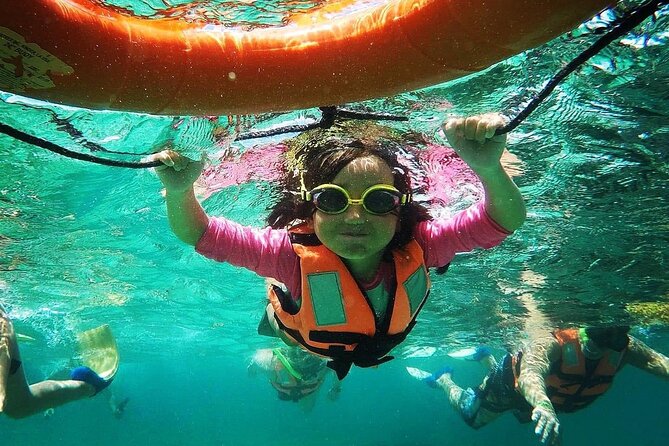 Snorkeling Guided Activity in Puerto Morelos Mexico - Two Reef Stops, Two Different Views
