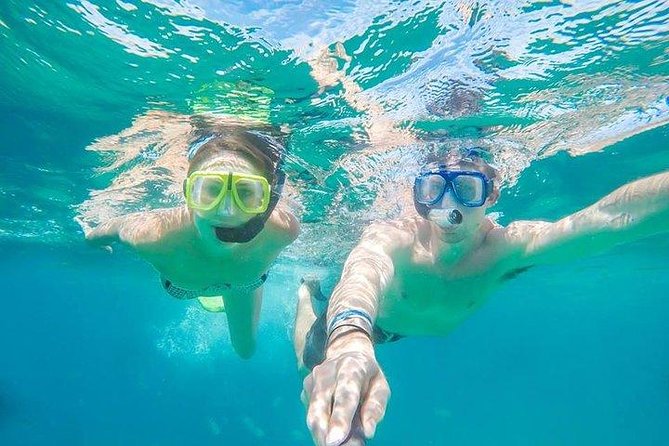 Snorkeling in Cabo San Lucas on 35' Sea Amore Trimaran - Key points at a glance