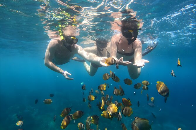 Snorkeling In Nusa Penida Departing From Bali Island - Gamat Bay: a promising first water stop