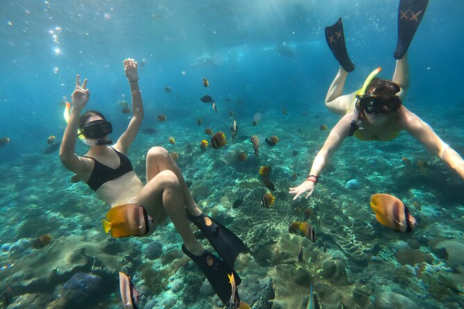 Snorkeling In Nusa Penida Departing From Bali Island - Crystal Bay and the search for manta rays