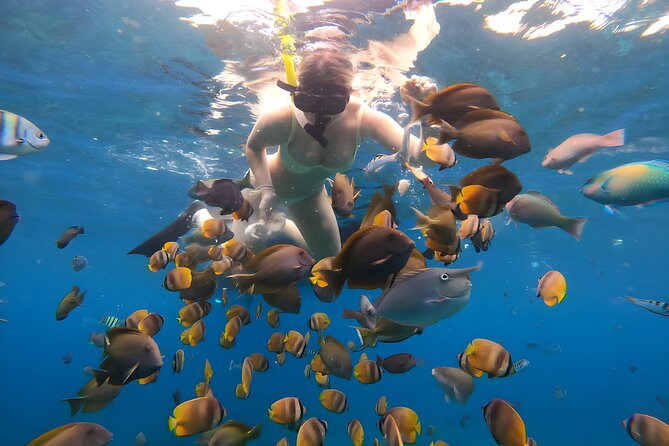 Snorkeling In Nusa Penida Departing From Bali Island - GoPro photos give the day a useful finish