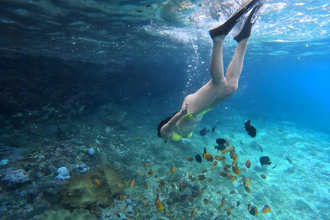 Snorkeling In Nusa Penida Departing From Bali Island - The guides and the human side of the trip