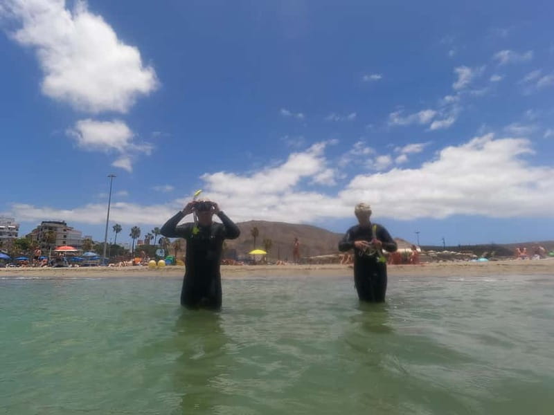 Snorkeling in tenerife south: Discover the underwater world - What you may see below the surface