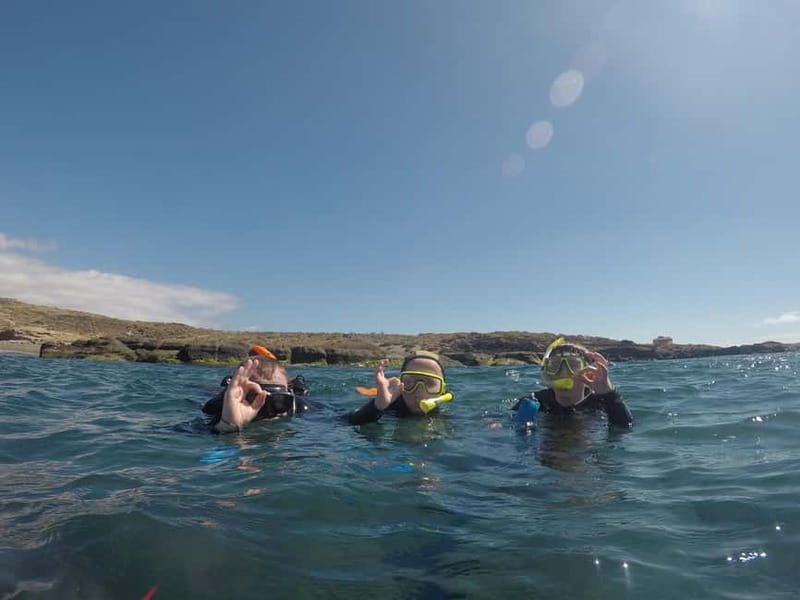 Snorkeling in tenerife south: Discover the underwater world - Who will enjoy this most