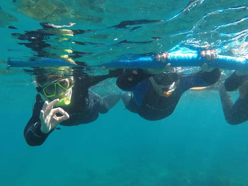 Snorkeling in tenerife south: Discover the underwater world - Timing, cancellation, and planning advice