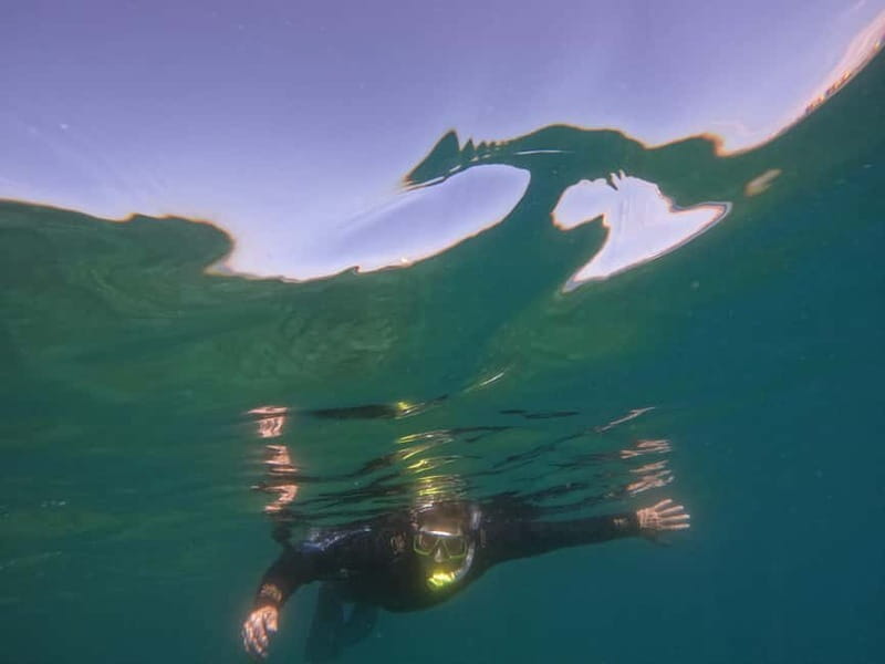 Snorkeling in tenerife south: Discover the underwater world - What the high rating means for your decision