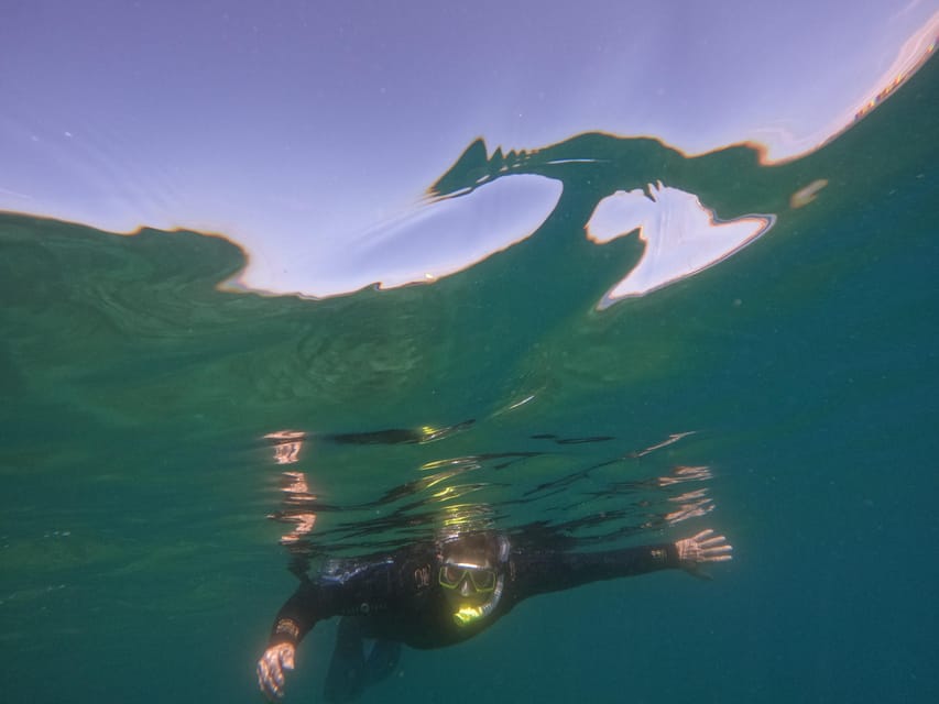 Snorkeling in tenerife south: Discover the underwater world - Should you book it?