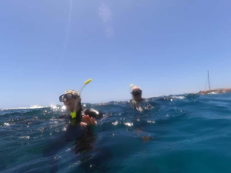 Snorkeling in tenerife south: Discover the underwater world - The one-hour briefing and equipment check