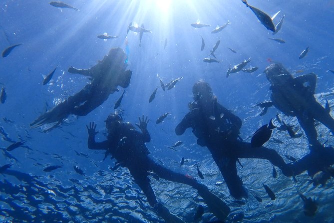 Snorkeling in the Blue Cave area【Okinawa Prefecture: Free feeding & photo images!English and Chinese speaking guide available! - What the MalDive outing is really like