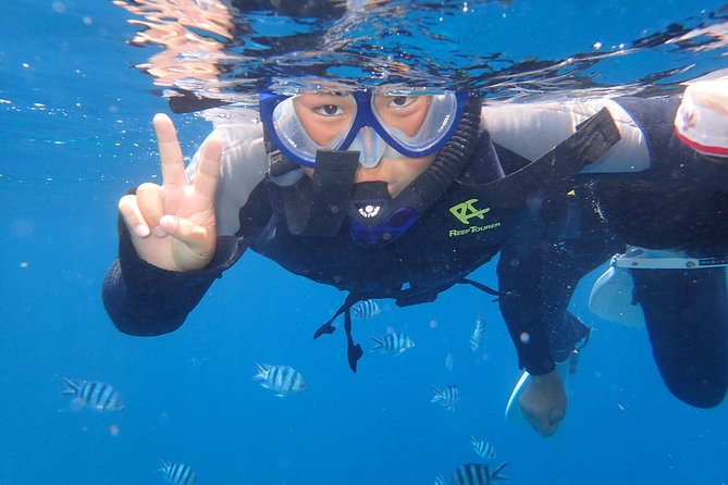 Snorkeling in the Blue Cave area【Okinawa Prefecture: Free feeding & photo images!English and Chinese speaking guide available! - Fish feeding adds activity, but raises an environmental question
