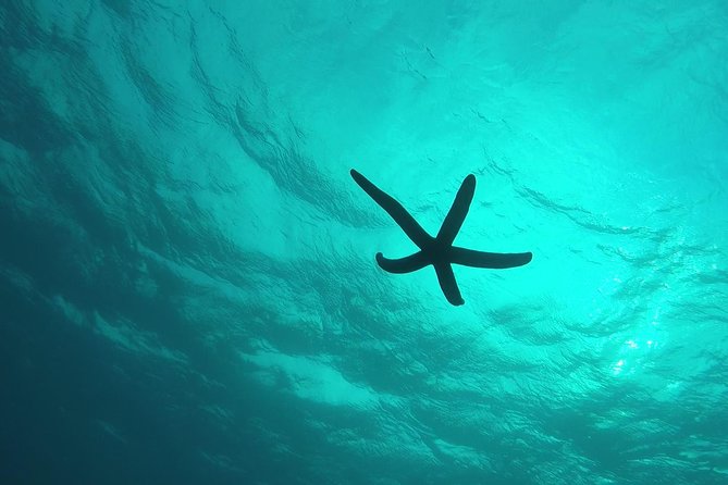 Snorkeling in the Blue Cave area【Okinawa Prefecture: Free feeding & photo images!English and Chinese speaking guide available! - If the Blue Cave is closed