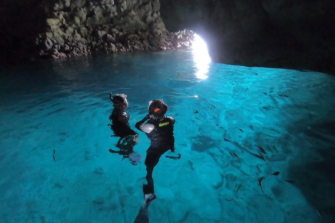 Snorkeling in the Blue Cave area【Okinawa Prefecture: Free feeding & photo images!English and Chinese speaking guide available! - Equipment, photos, and the strongest value