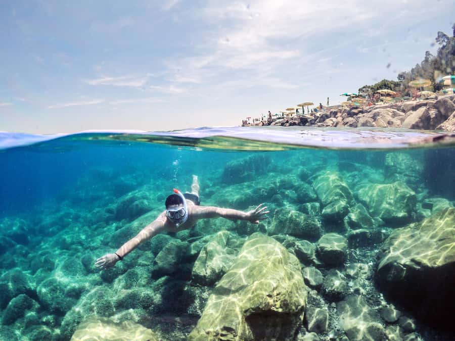 Snorkeling in The Red Sea With Equipment And Free Transfer - Three Hours Among Coral, Fish, Plane, and Tank