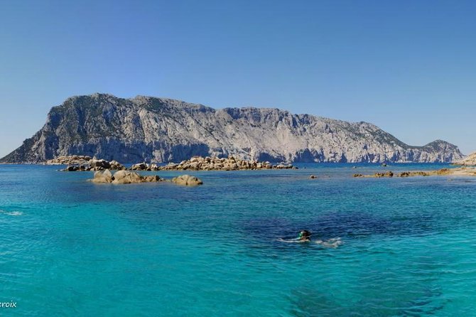 Snorkeling marine protected area Tavolara - A four-hour route through protected Sardinian waters