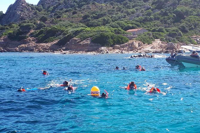 Snorkeling marine protected area Tavolara - Is $84.69 a fair price?